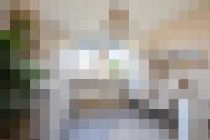 De Tol 14 Dinxperlo thumbnail 19