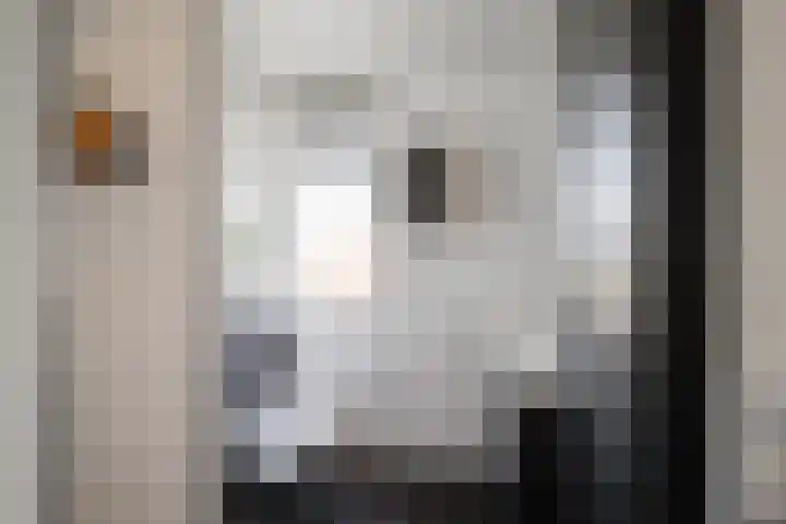 De Tol 14 Dinxperlo thumbnail 20