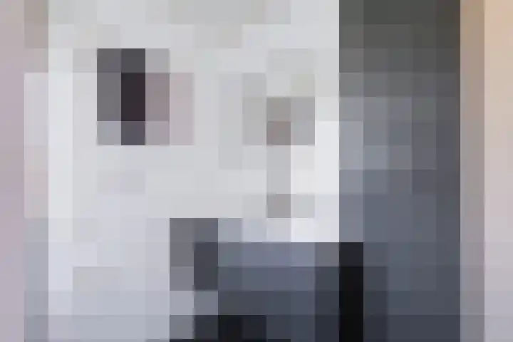 De Tol 14 Dinxperlo thumbnail 22