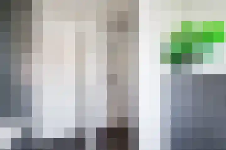 De Tol 14 Dinxperlo thumbnail 23