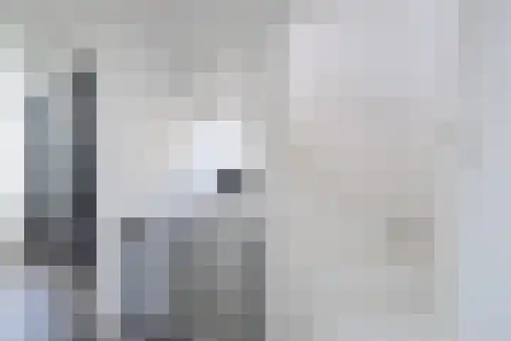 De Tol 14 Dinxperlo thumbnail 24