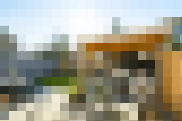De Tol 14 Dinxperlo thumbnail 29