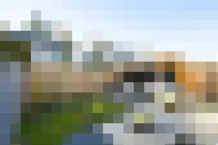 De Tol 14 Dinxperlo thumbnail 30