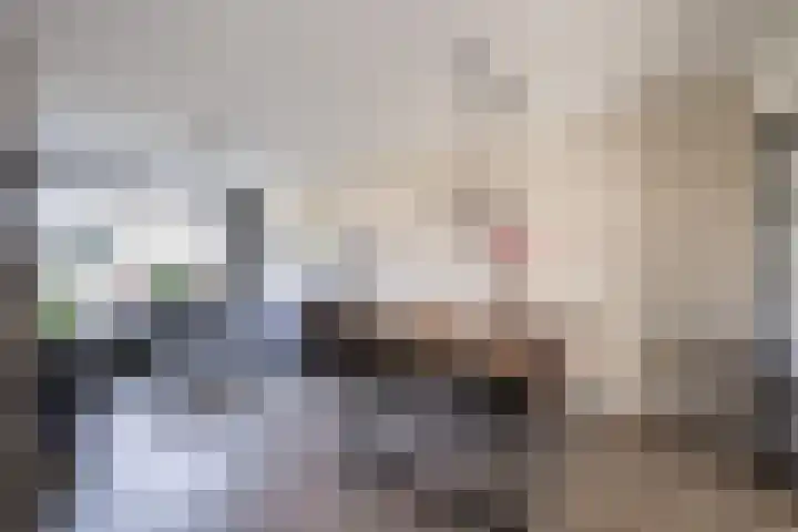 De Tol 14 Dinxperlo thumbnail 7