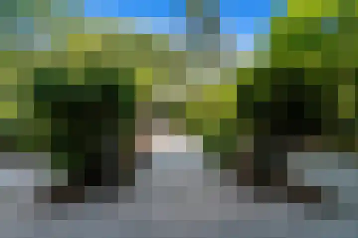 de Tol 2 Leidschendam thumbnail 10