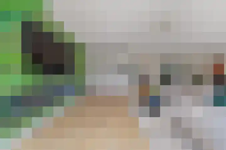 de Tol 2 Leidschendam thumbnail 13