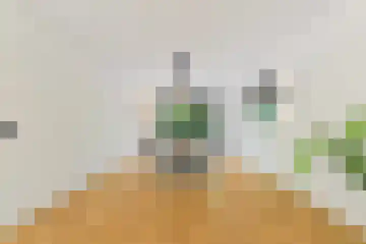 de Tol 2 Leidschendam thumbnail 15
