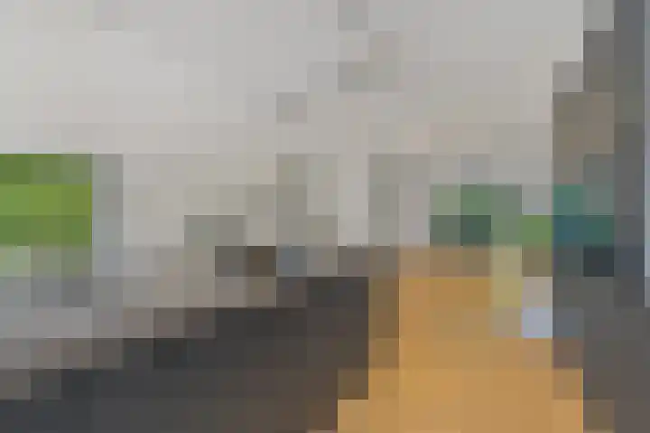 de Tol 2 Leidschendam thumbnail 19
