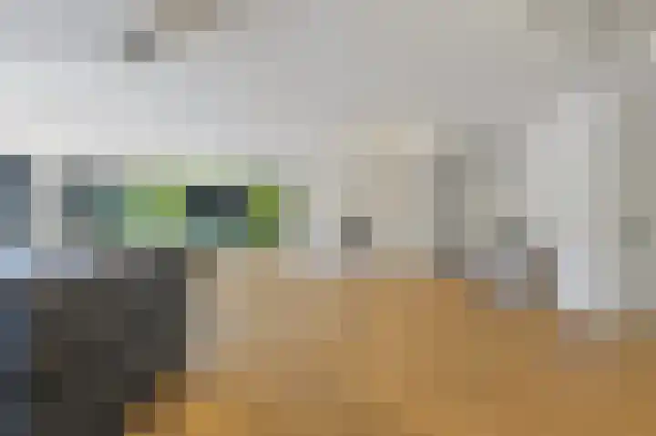 de Tol 2 Leidschendam thumbnail 22