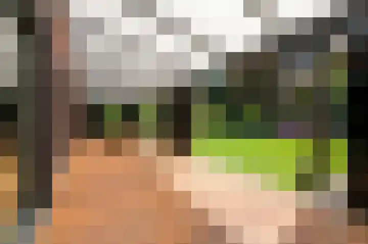 de Tol 2 Leidschendam thumbnail 27