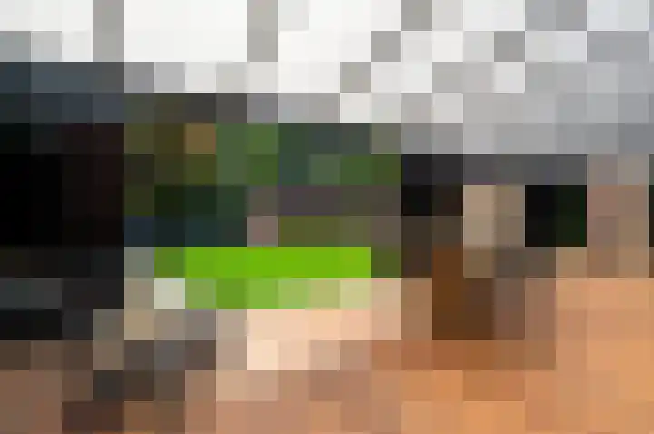 de Tol 2 Leidschendam thumbnail 28