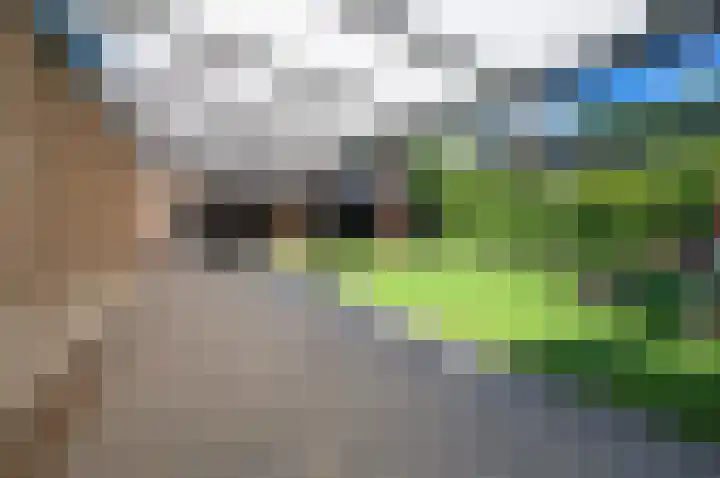 de Tol 2 Leidschendam thumbnail 34