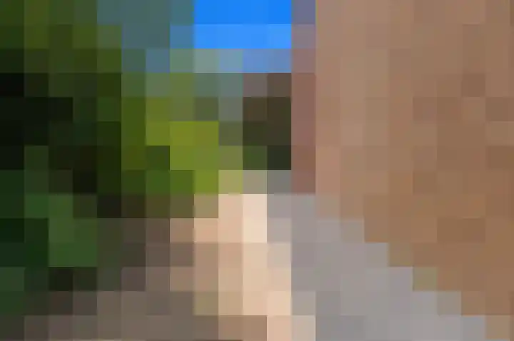 de Tol 2 Leidschendam thumbnail 35
