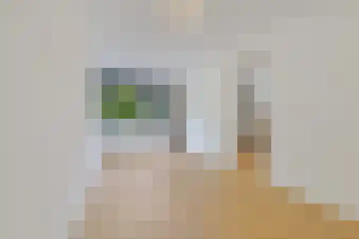 de Tol 2 Leidschendam thumbnail 36