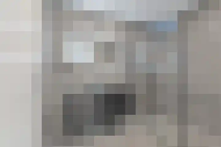 de Tol 2 Leidschendam thumbnail 38