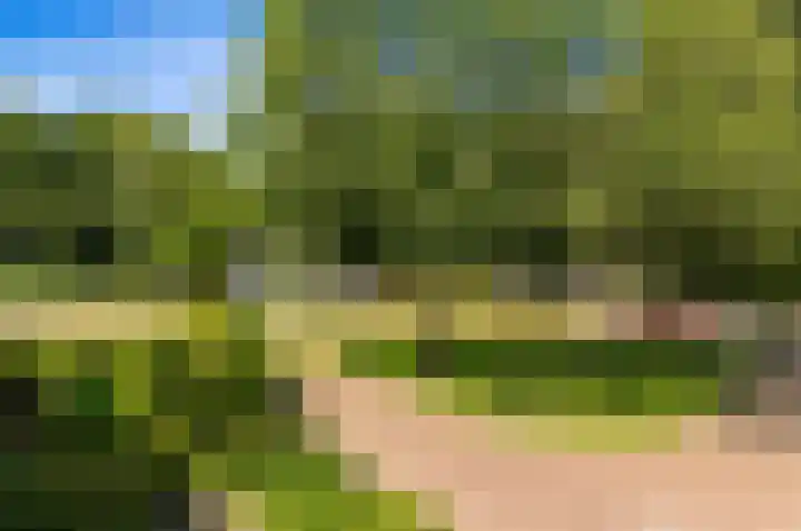 de Tol 2 Leidschendam thumbnail 48