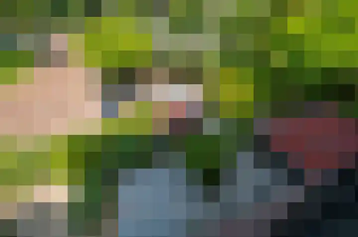 de Tol 2 Leidschendam thumbnail 49
