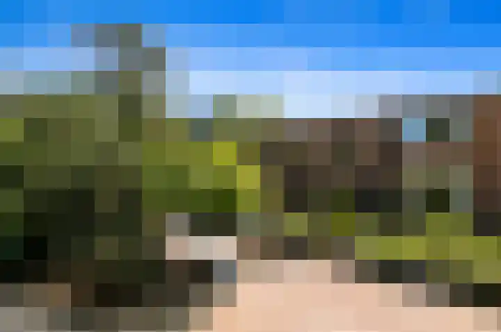 de Tol 2 Leidschendam thumbnail 6