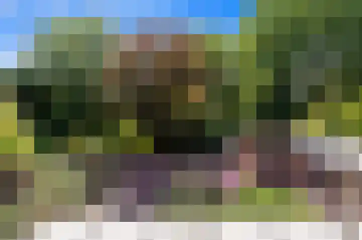 de Tol 2 Leidschendam thumbnail 66
