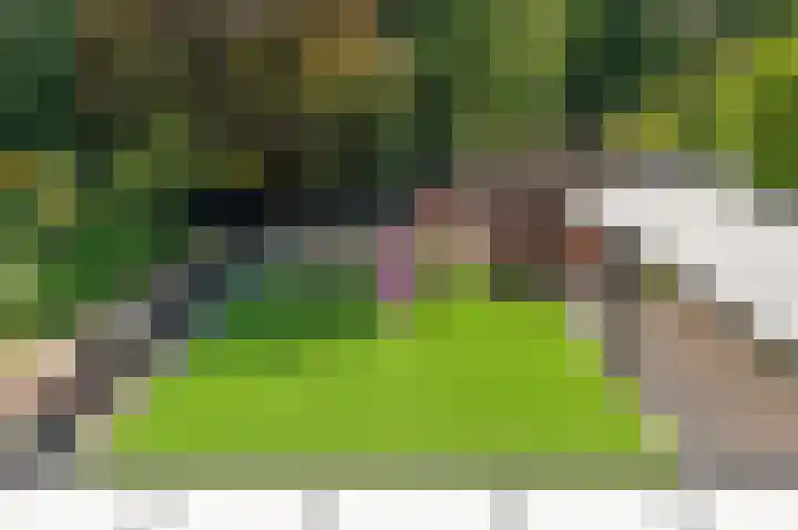 de Tol 2 Leidschendam thumbnail 69