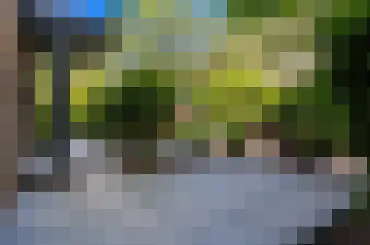 de Tol 2 Leidschendam thumbnail 7