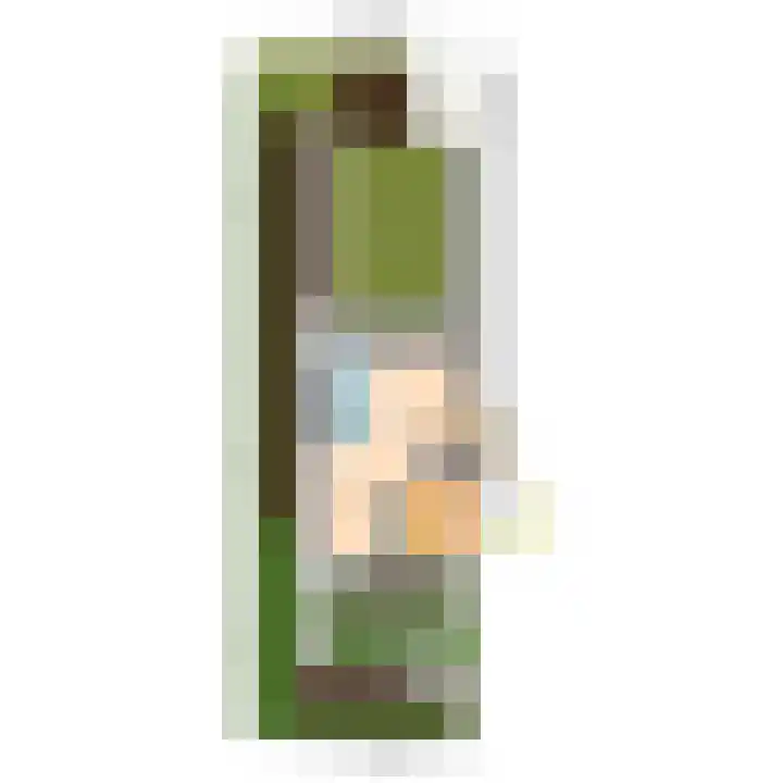 de Tol 2 Leidschendam thumbnail 70
