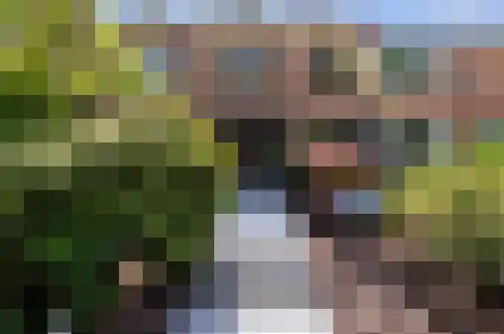 de Tol 2 Leidschendam thumbnail 74