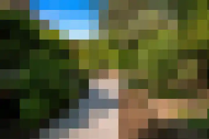 de Tol 2 Leidschendam thumbnail 8
