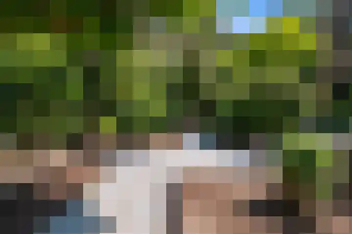 de Tol 2 Leidschendam thumbnail 9