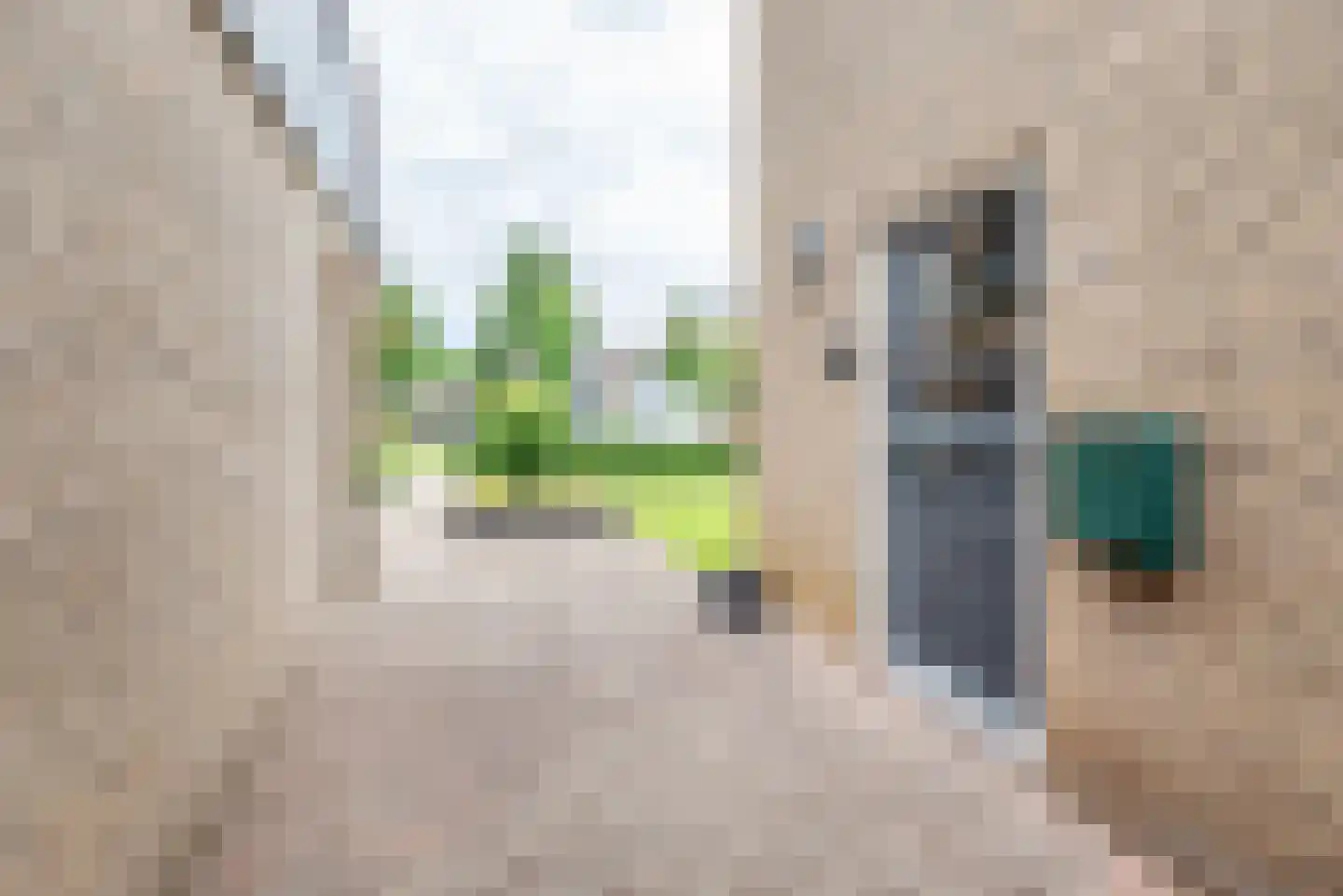 De Tol 26 Dinxperlo thumbnail 11