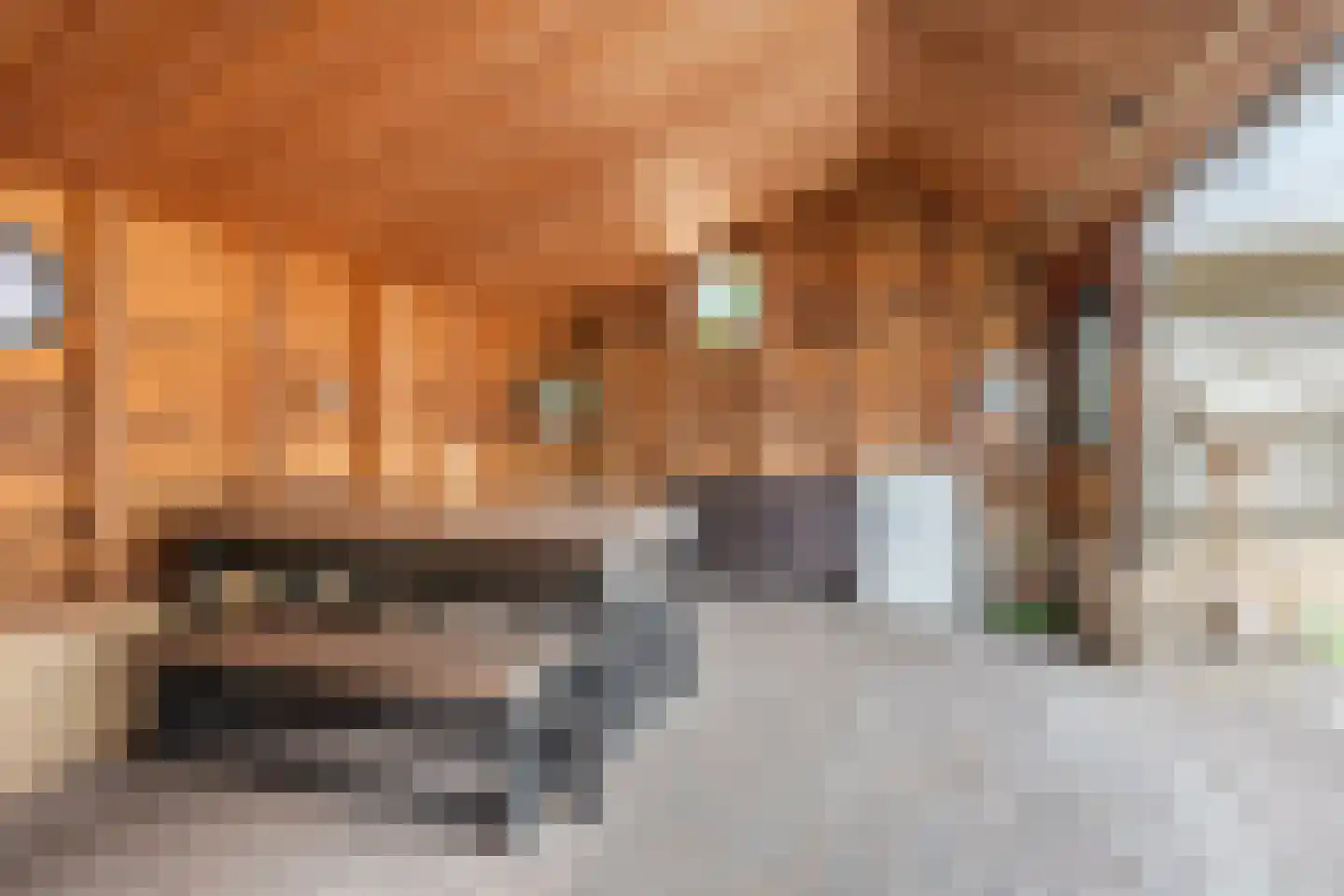 De Tol 26 Dinxperlo thumbnail 44
