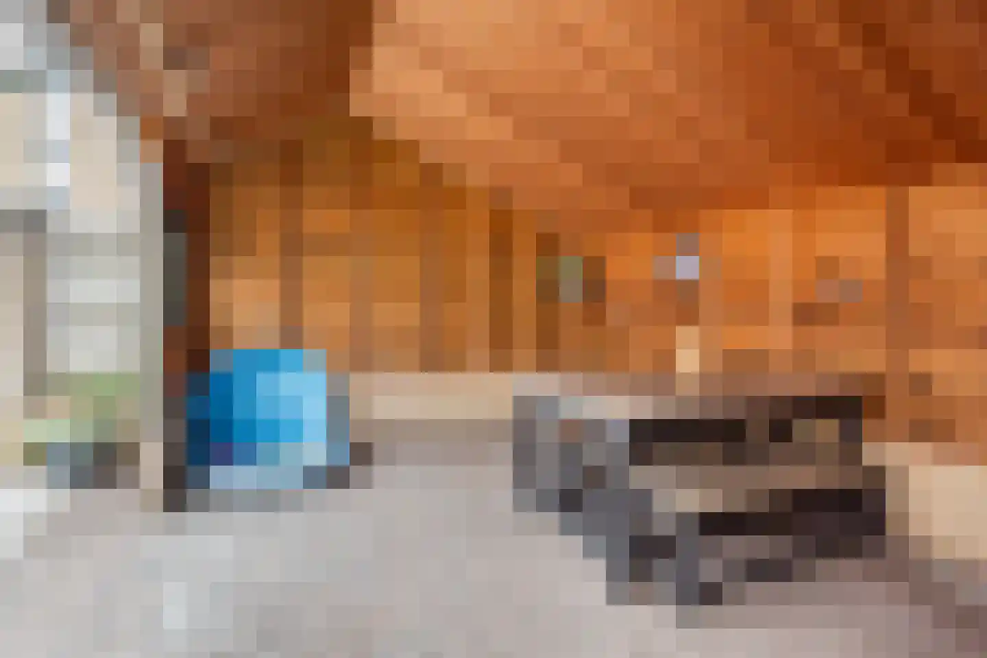 De Tol 26 Dinxperlo thumbnail 45