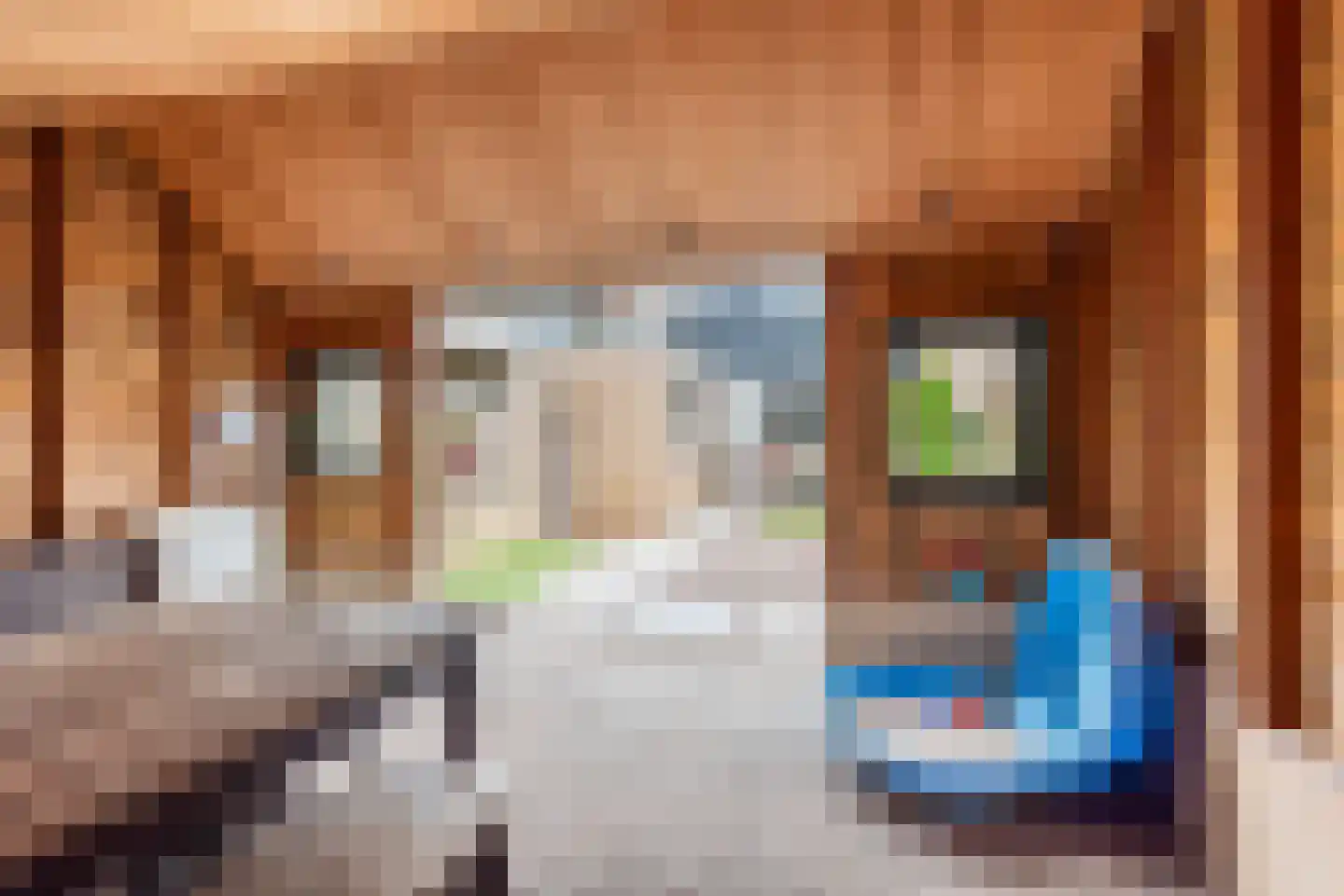 De Tol 26 Dinxperlo thumbnail 46