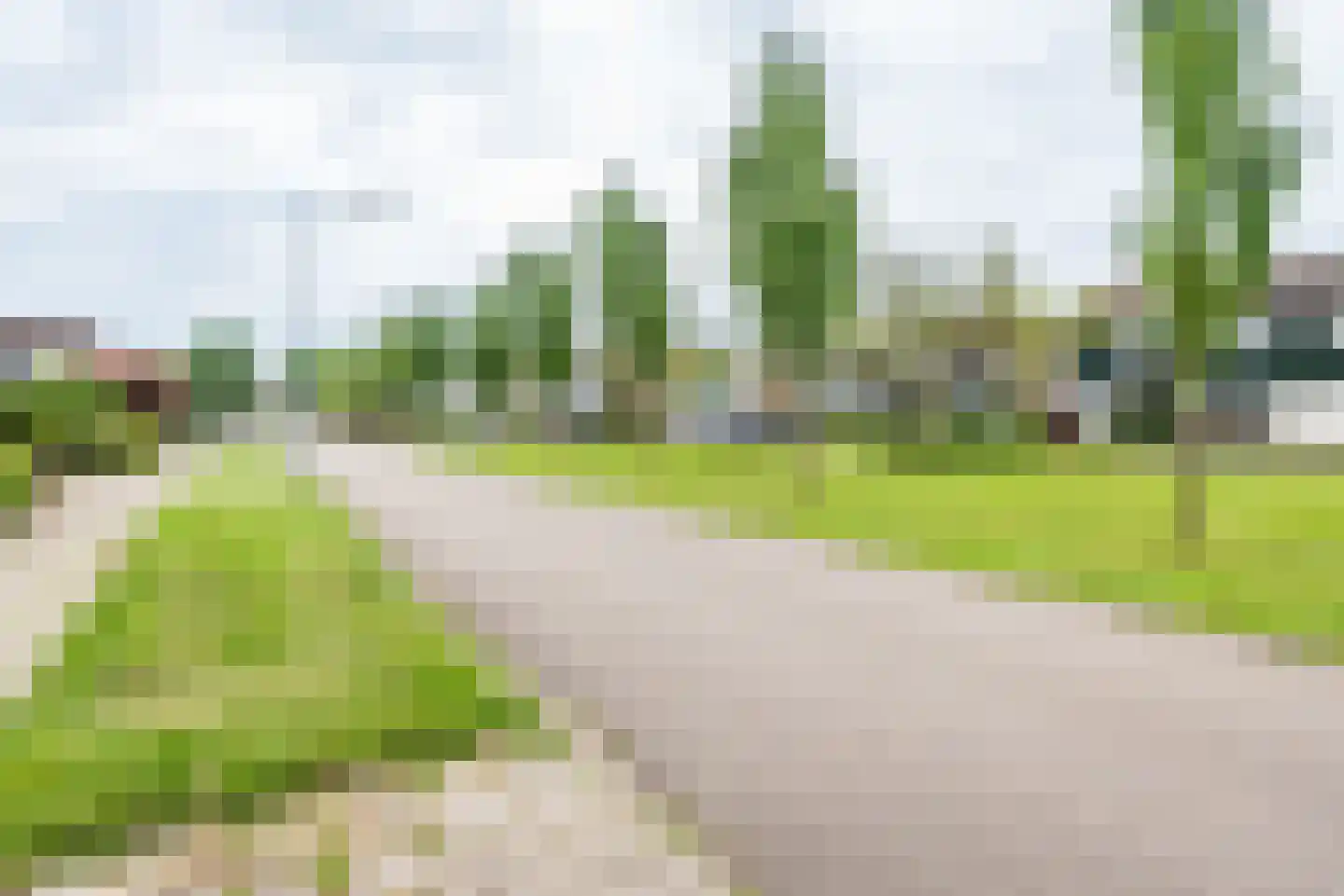 De Tol 26 Dinxperlo thumbnail 47