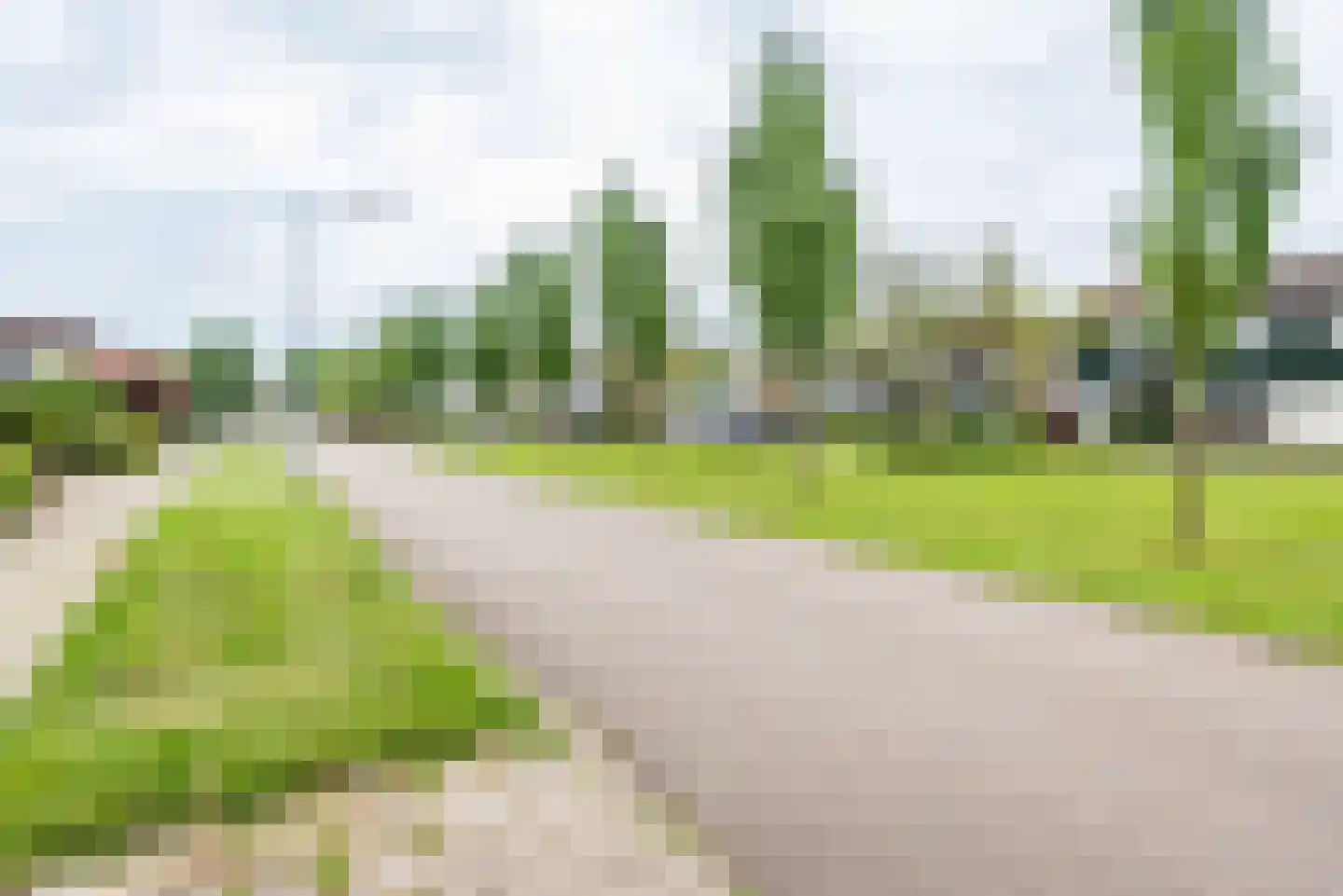 De Tol 26 Dinxperlo thumbnail 54