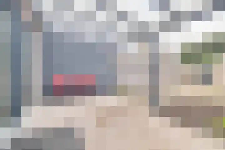 De Tol 38 Apeldoorn thumbnail 31