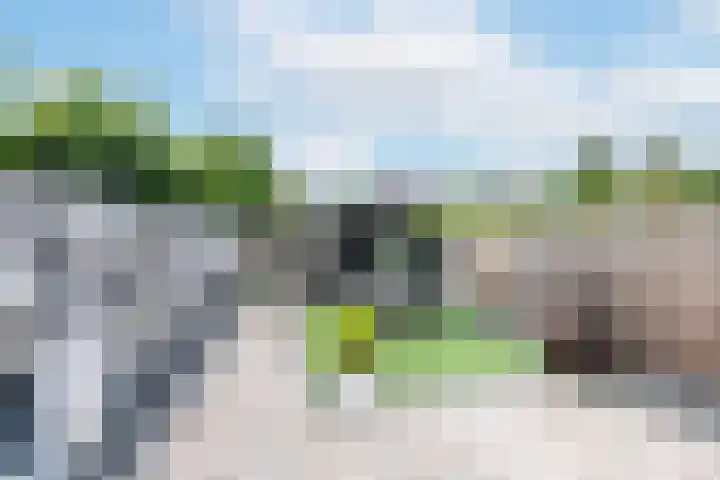 De Tol 41 Apeldoorn thumbnail 26