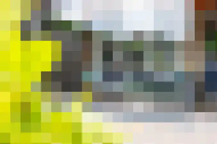 De Tol 41 Apeldoorn thumbnail 28