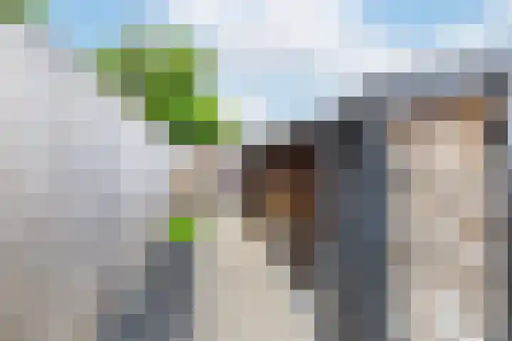 De Tol 41 Apeldoorn thumbnail 29