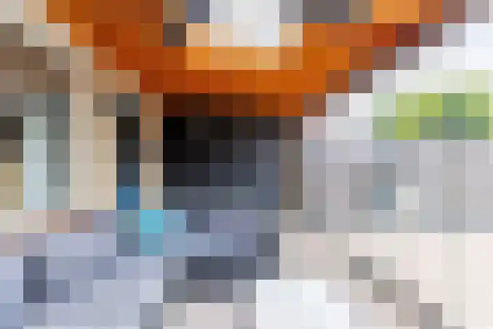 De Tol 41 Apeldoorn thumbnail 4