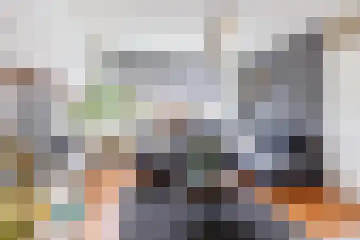 De Tol 41 Apeldoorn thumbnail 8