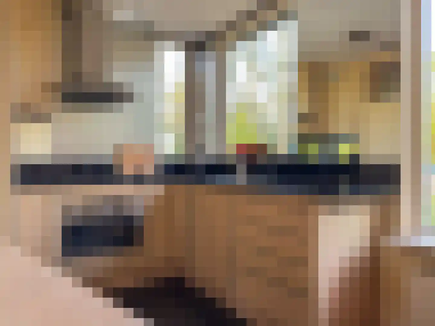 De Tol 5 Amerongen thumbnail 10