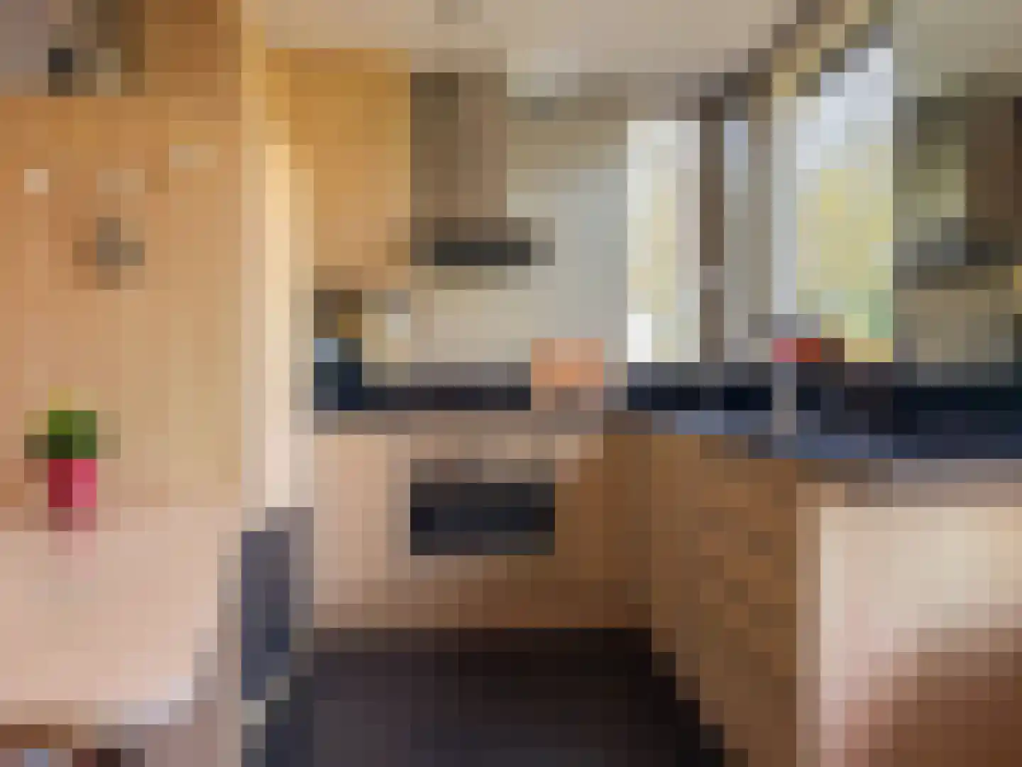 De Tol 5 Amerongen thumbnail 11