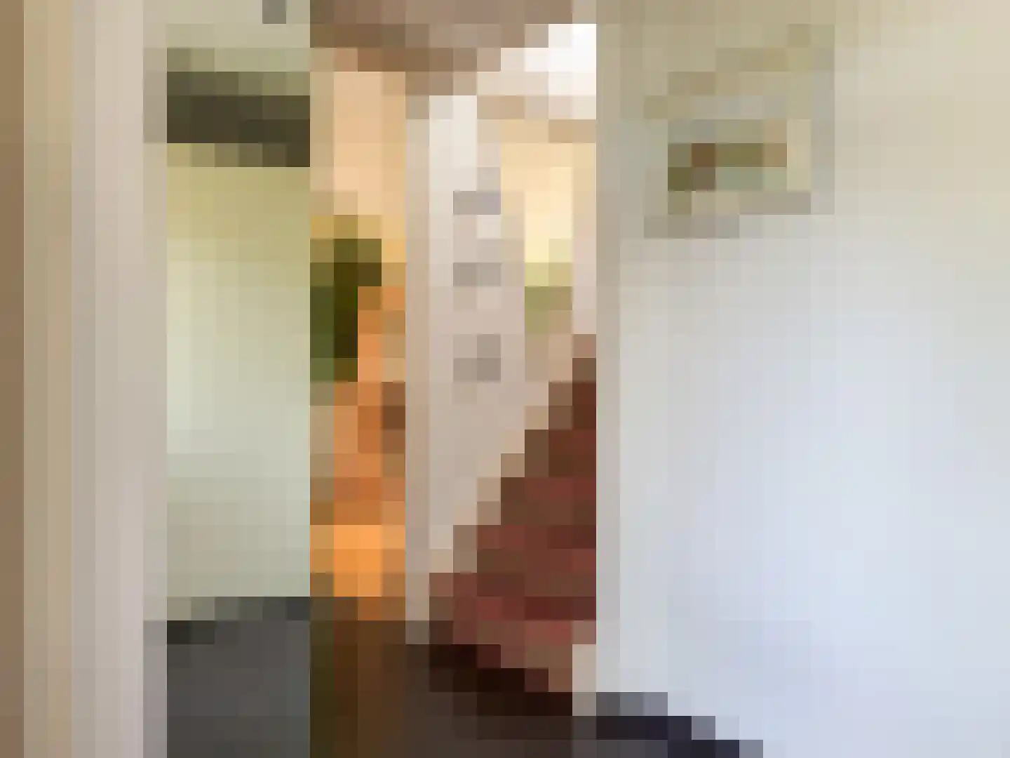 De Tol 5 Amerongen thumbnail 13
