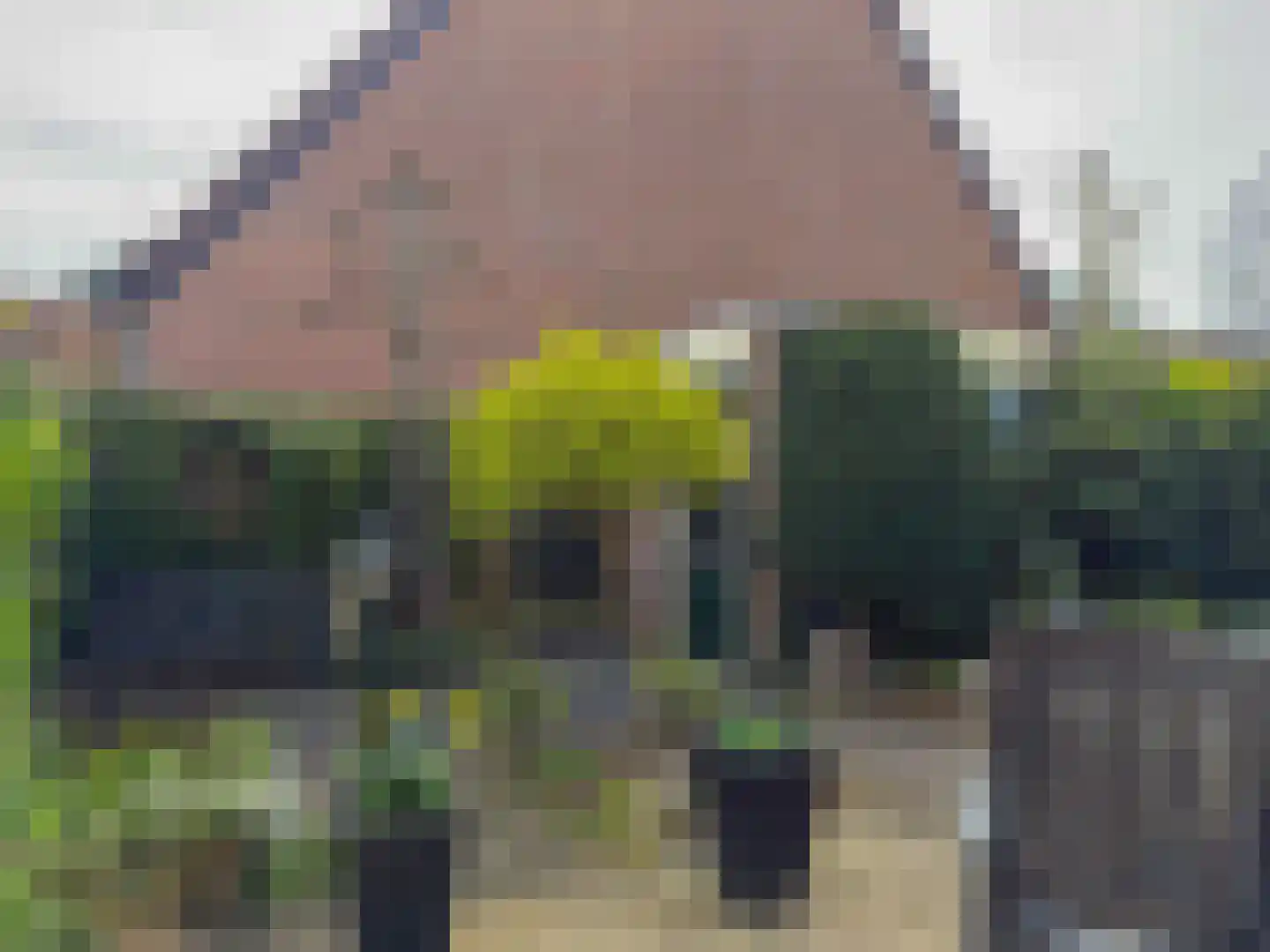 De Tol 5 Amerongen thumbnail 22