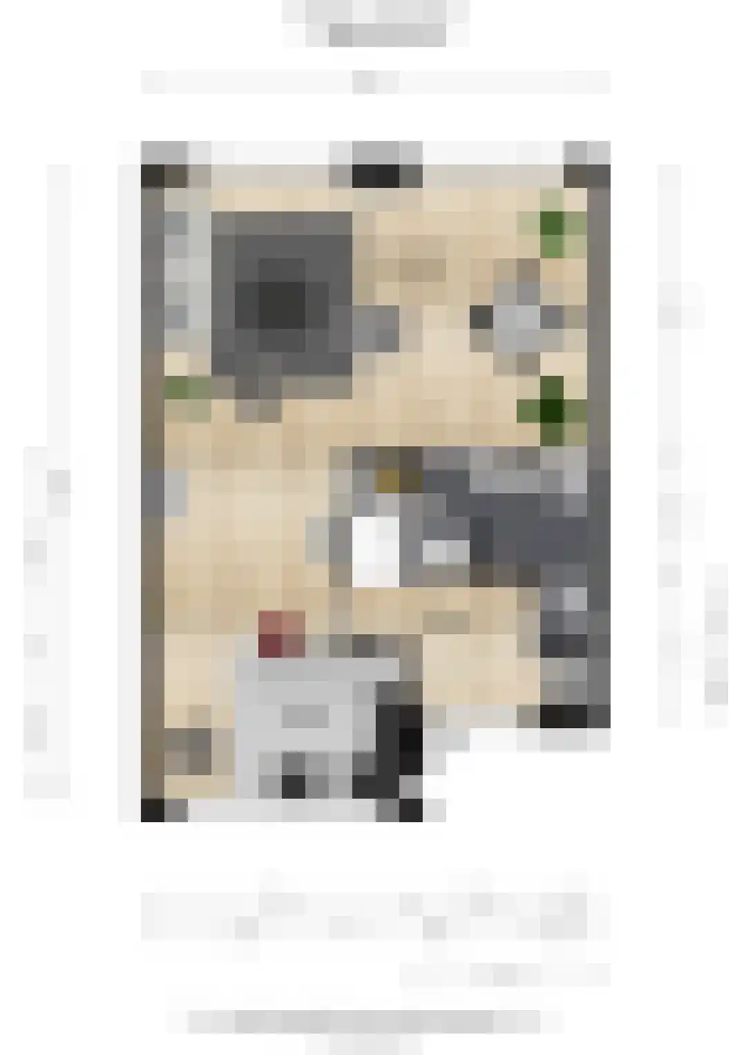 De Tol 5 Amerongen thumbnail 23