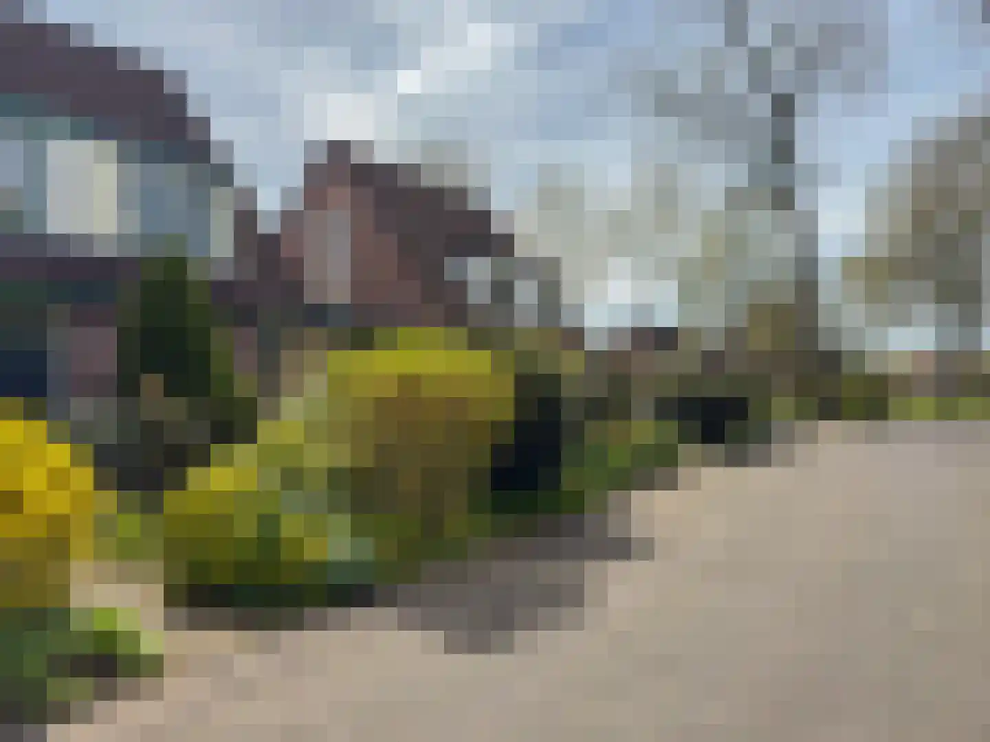 De Tol 5 Amerongen foto 3