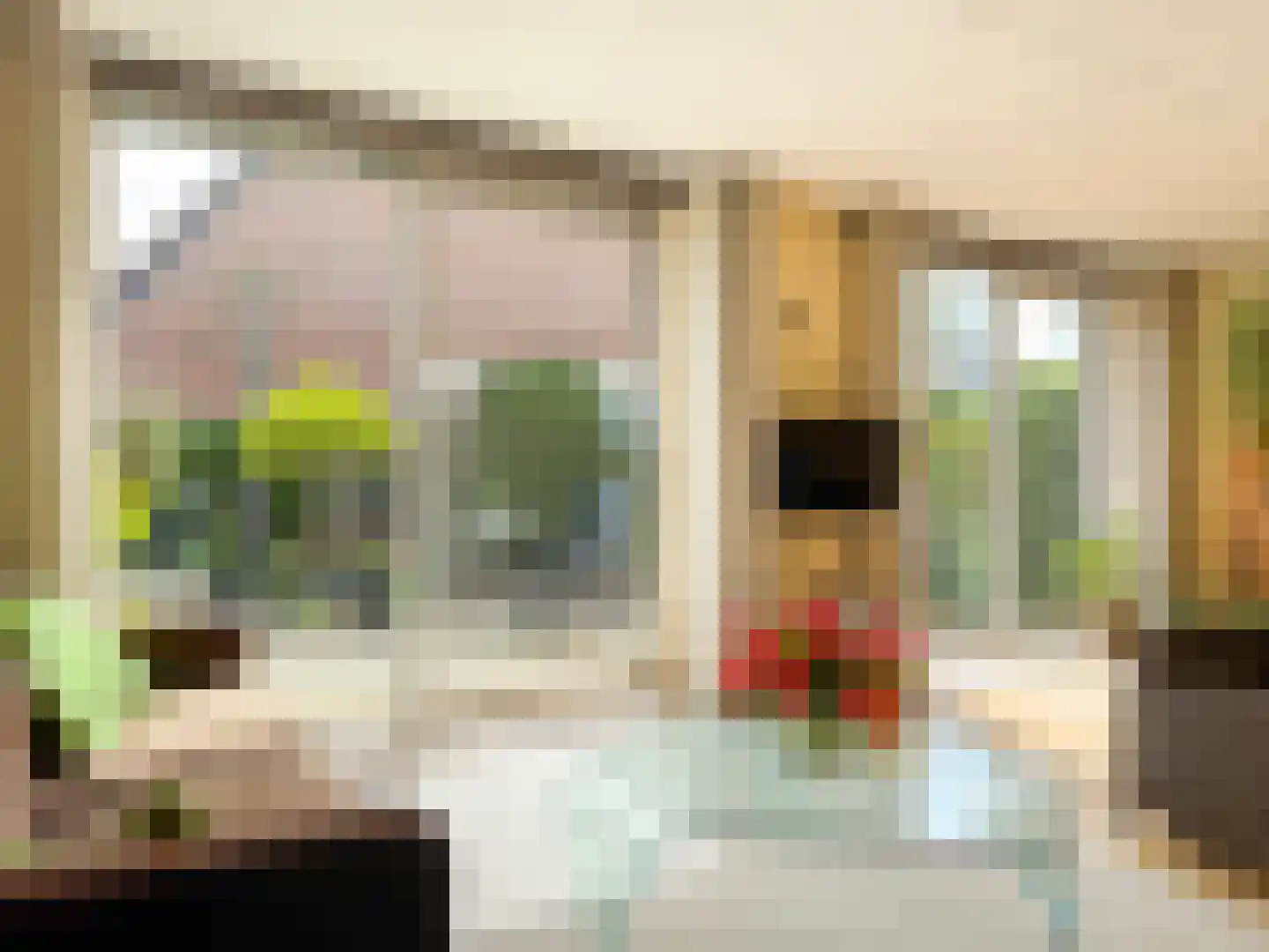 De Tol 5 Amerongen thumbnail 4