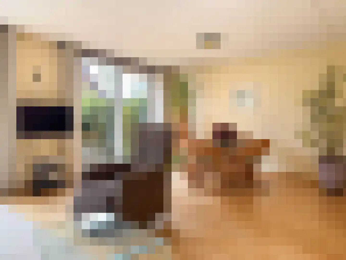 De Tol 5 Amerongen thumbnail 6