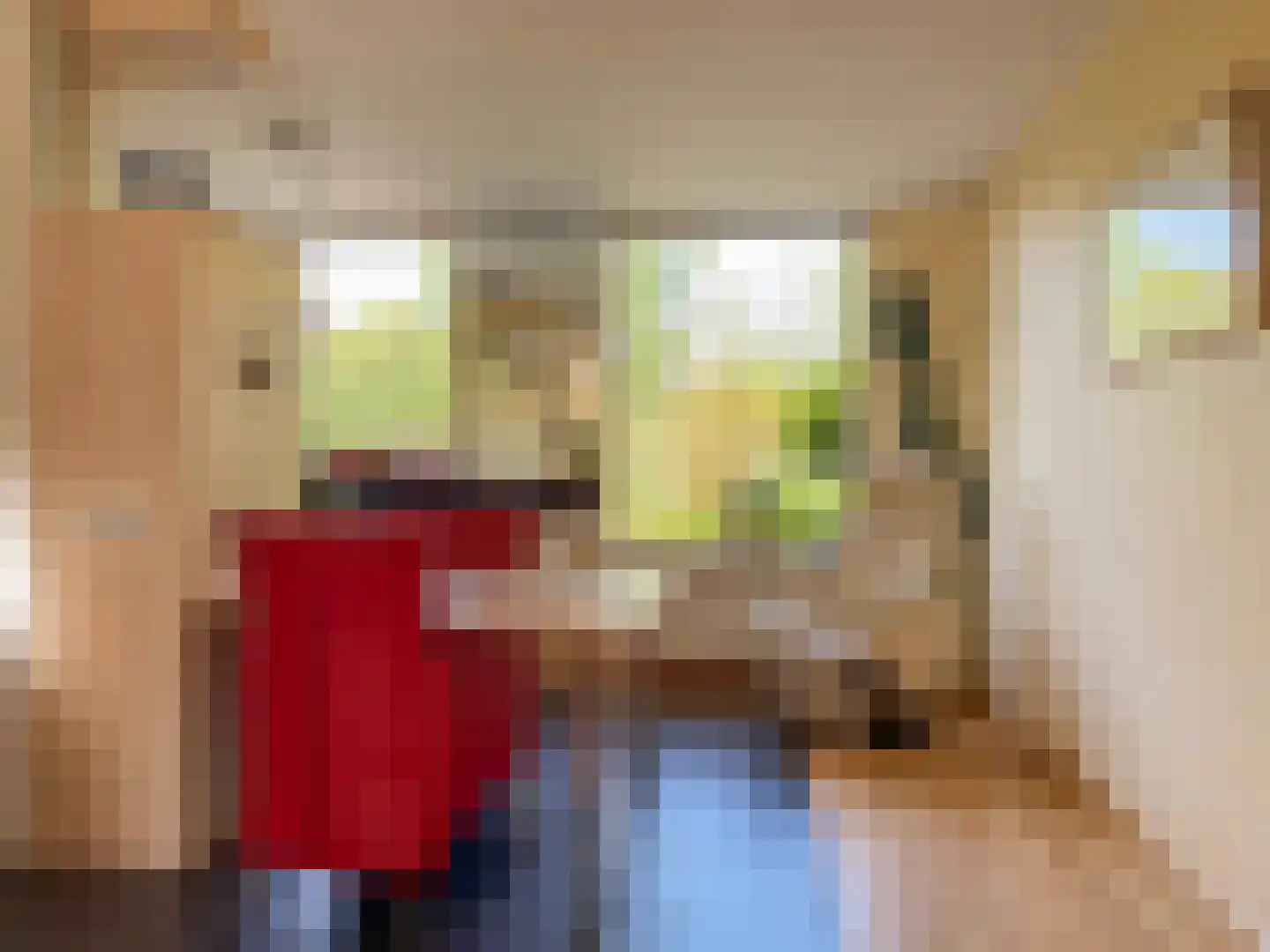 De Tol 5 Amerongen thumbnail 9